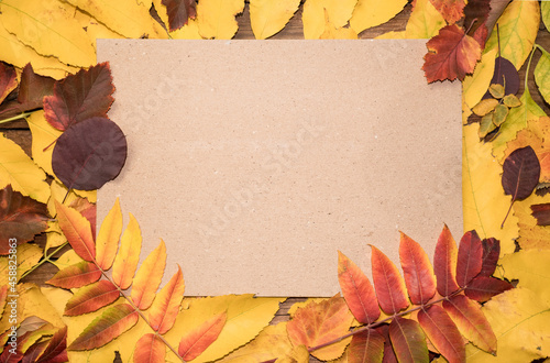 Hello October. Autumn composition top view on autumn bright colorful leaves with paper sheet and place for text.
