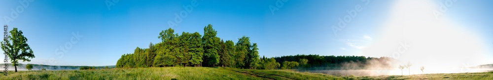 Spring forest and field on a background of blue sky Spring forest and field on a background of blue sky