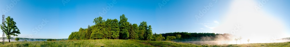 Spring forest and field on a background of blue sky