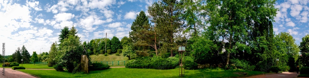 Park in spring - panoramic view, flowers Park in spring - panoramic view, flowers