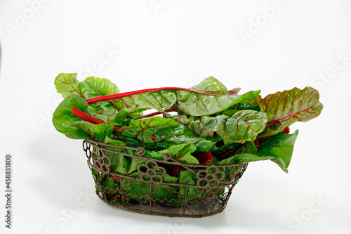 Swiss chard or cabbage stalk with red stalk