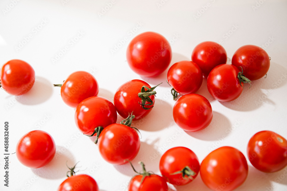 tomatoes on white background tomatoes on white background