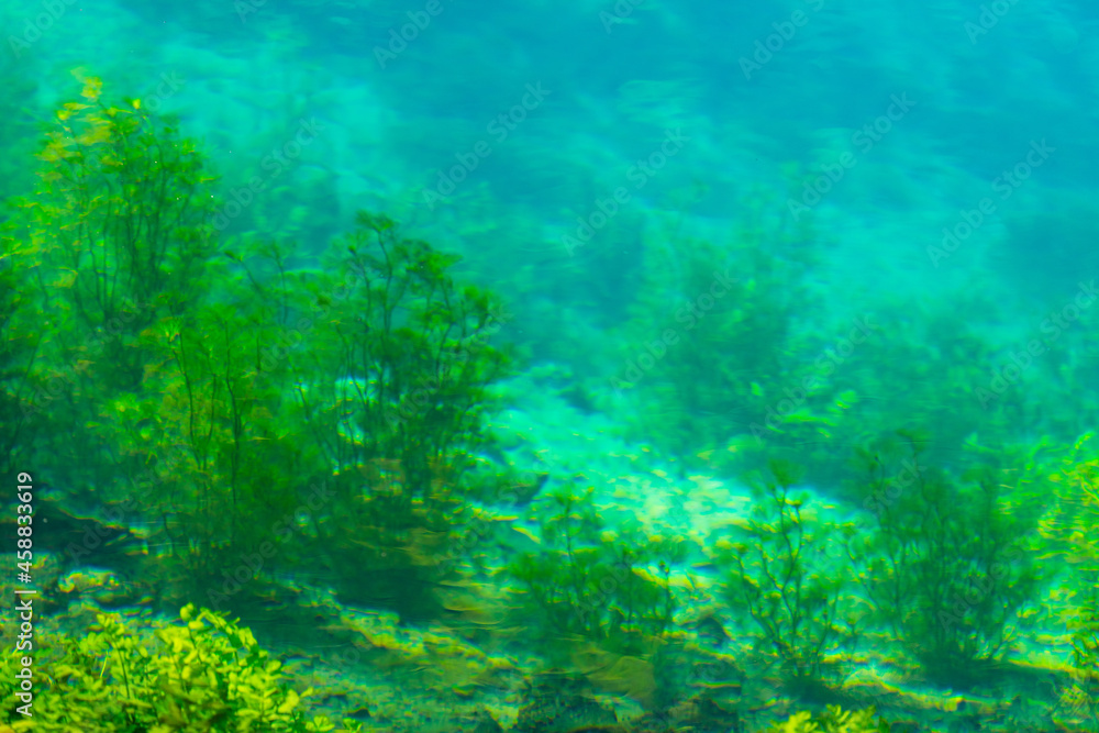 Fototapeta premium Blautopf in Blaubeuren