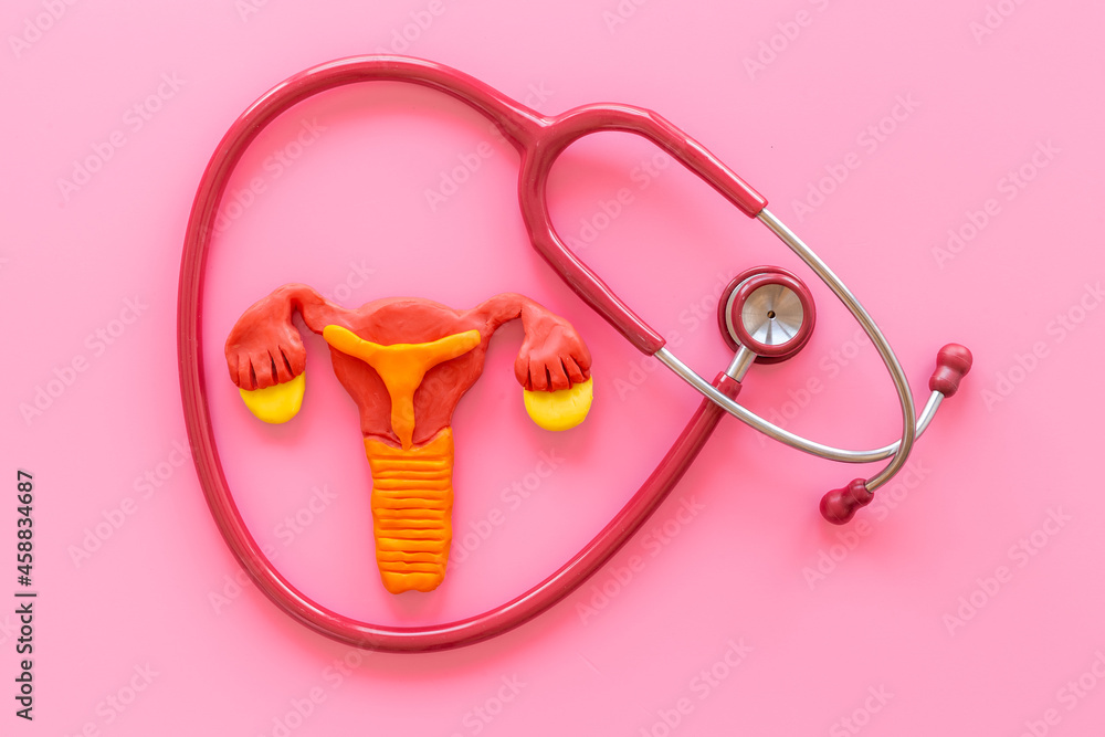 Women health care concept with female uterus and stethoscope