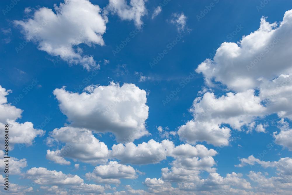 Obraz premium Clouds on the blue sky.