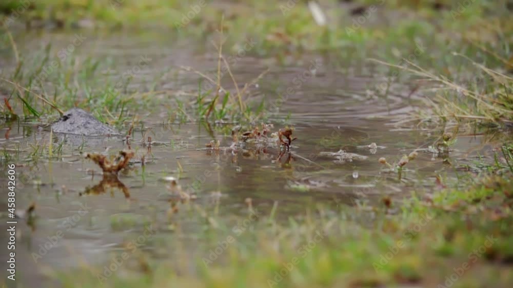 Rain, water FullHD 500 fps per second Rain, water FullHD 500 fps per second