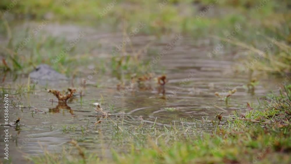 Rain, water FullHD 500 fps per second Rain, water FullHD 500 fps per second