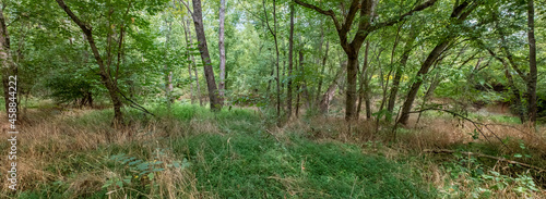 Evergreen Nature Preserve in Charlotte, North Carolina
 photo