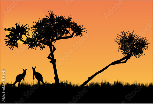 Pandanus trees and kangaroo