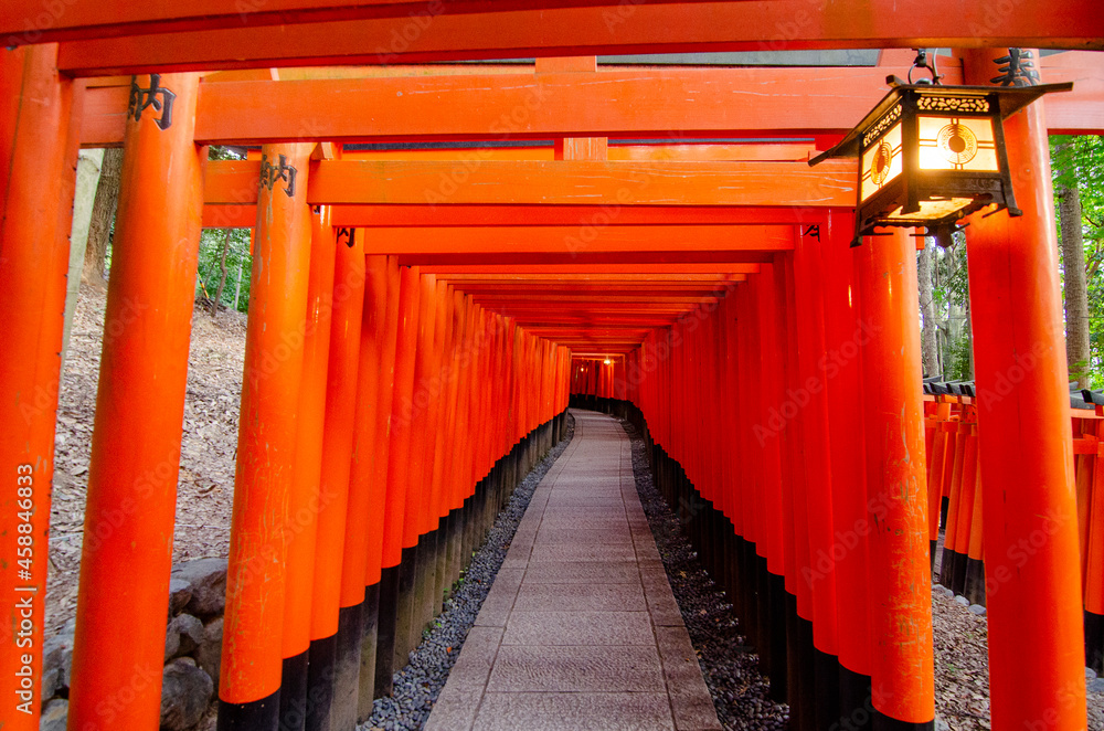 Fushimi Inari