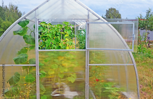 Fragment of a greenhouse with an open window