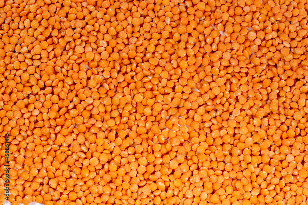 Masoor dal with white background Masoor dal with white background