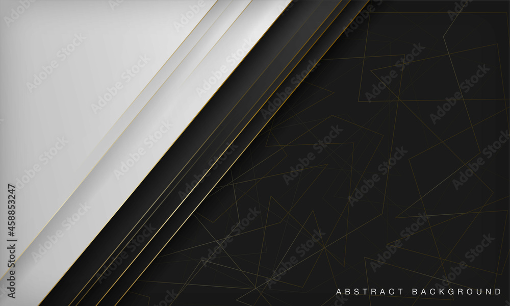 Obraz premium Elegant abstract black and white background with line golden elements. Realistic luxury 3d modern concept.