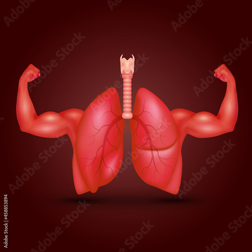 Strong healthy human lungs and powerful cardiovascular with arms showing strong muscles in a realistic 3D vector style. Exercises to rehab breath. Medical check up health concept. Isolated on a white 