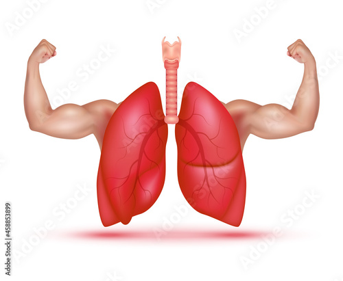Strong healthy human lungs and powerful cardiovascular with arms showing strong muscles in a realistic 3D vector style. Exercises to rehab breath. Medical check up health concept. Isolated on a white 