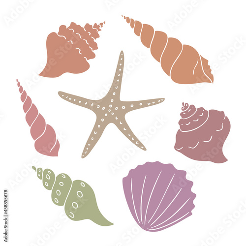 Set of seashell and starfish vector shapes