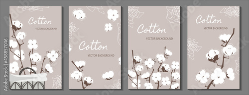 Vector neutral soft vertical backgrounds set with cotton flowers branches and abstract line elements