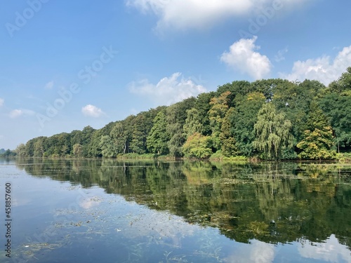 Fototapeta Naklejka Na Ścianę i Meble -  Landschaft am See mit Spiegelung der Bäume im Wasser