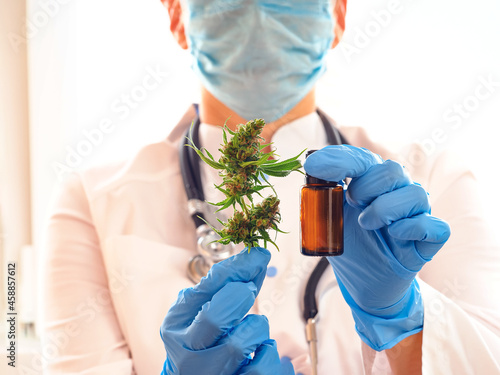 Medical marijuana cannabis weed in the hands of a woman scientist doctor