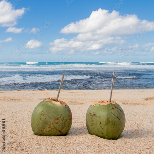 Beach Coconut 