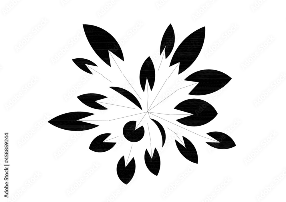 black and white flower black and white flower