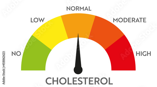 Cholesterol level meter indicator. Medical speedometer. Chat control concept presentation