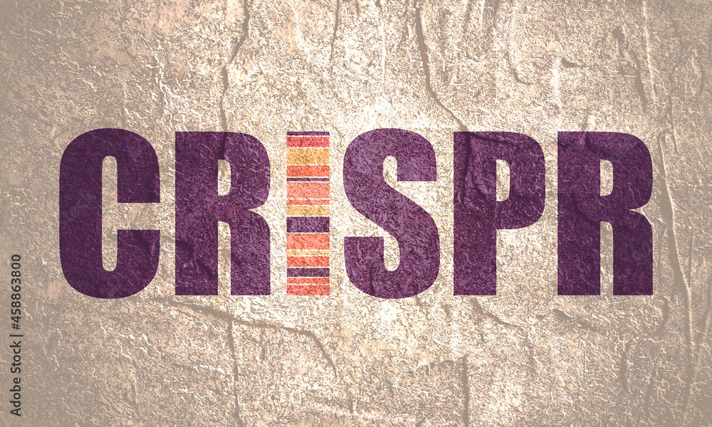 CRISPR system for editing, regulating and targeting genomes word CRISPR system for editing, regulating and targeting genomes word