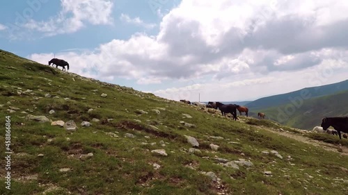 Wallpaper Mural A view of the Balkan mountains with horses Torontodigital.ca