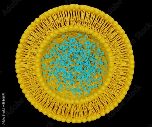 Nanoparticles comprised of lipids (liposome) can be used to encapsulate biological or small molecule active pharmaceutical ingredients (APIs) for drug delivery in 3D photo