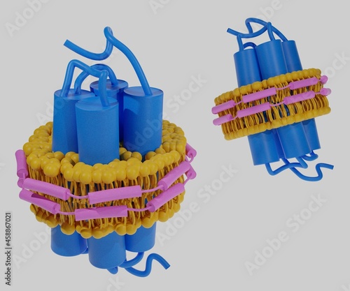 Nano disc is a discoidal proteins in which a lipid bilayer is surrounded by molecules that are amphipathic molecules photo