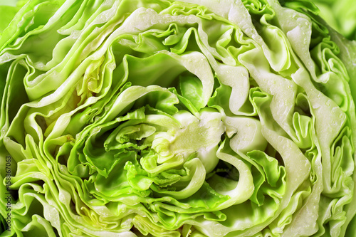 Fresh cabbage as background, closeup