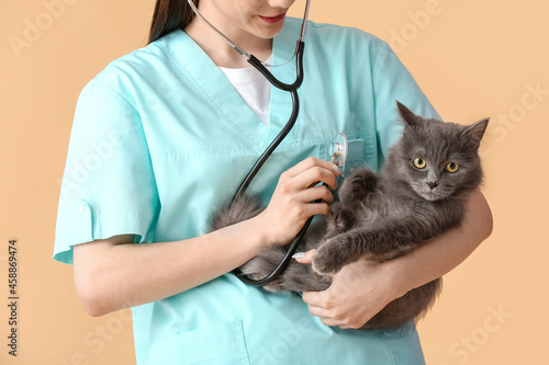 Female veterinarian examining cute cat with stethoscope on beige background