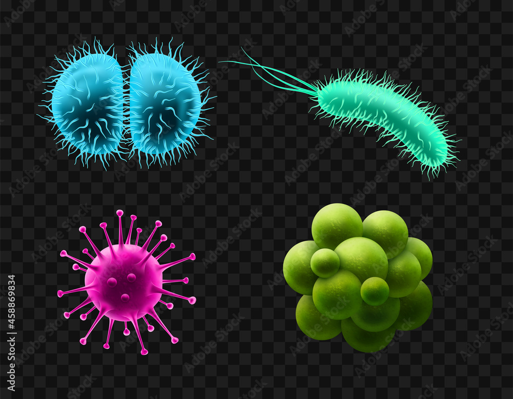 Viruses and bacteria set. Microscopic cells. Realistic vector ...