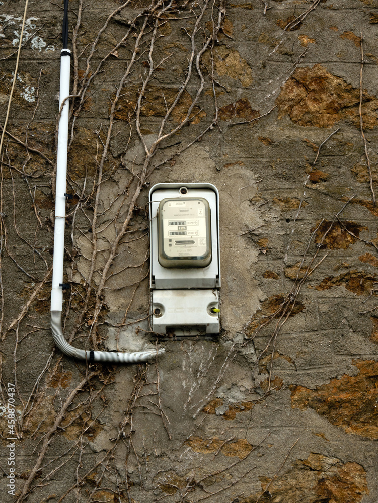 Old electric meter for two day / night tariffs on the wall of an old building. Visible power cable to the electricity meter. The wall is covered with dry vegetation and branches.09/2021 France - obrazy, fototapety, plakaty 