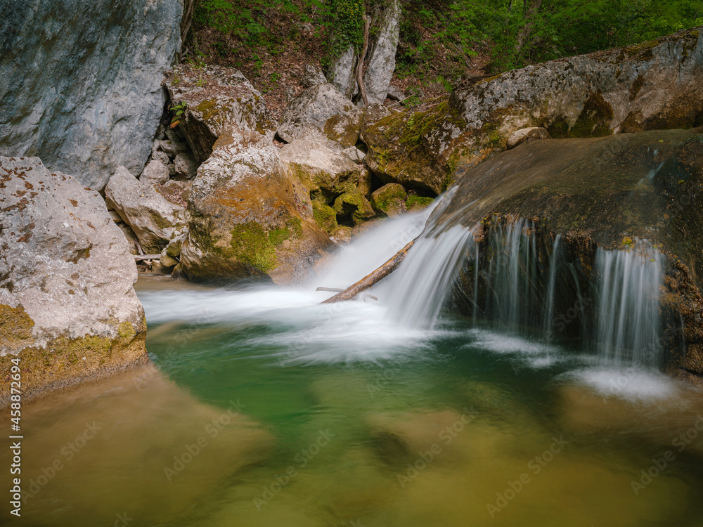 Fototapeta premium small river deep in the green forests