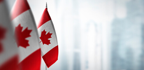 Tableau sur plexiglas Canada Small flags of Canada on a blurry background of the city  © butenkow