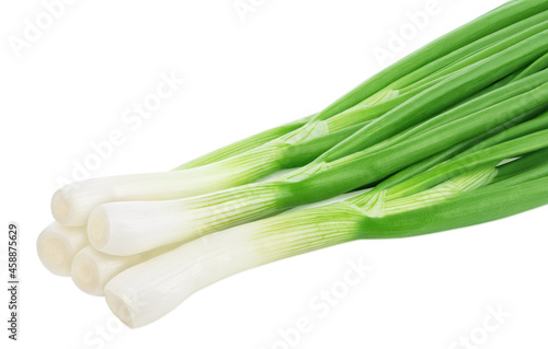 Heap of fresh green onion isolated on white background.