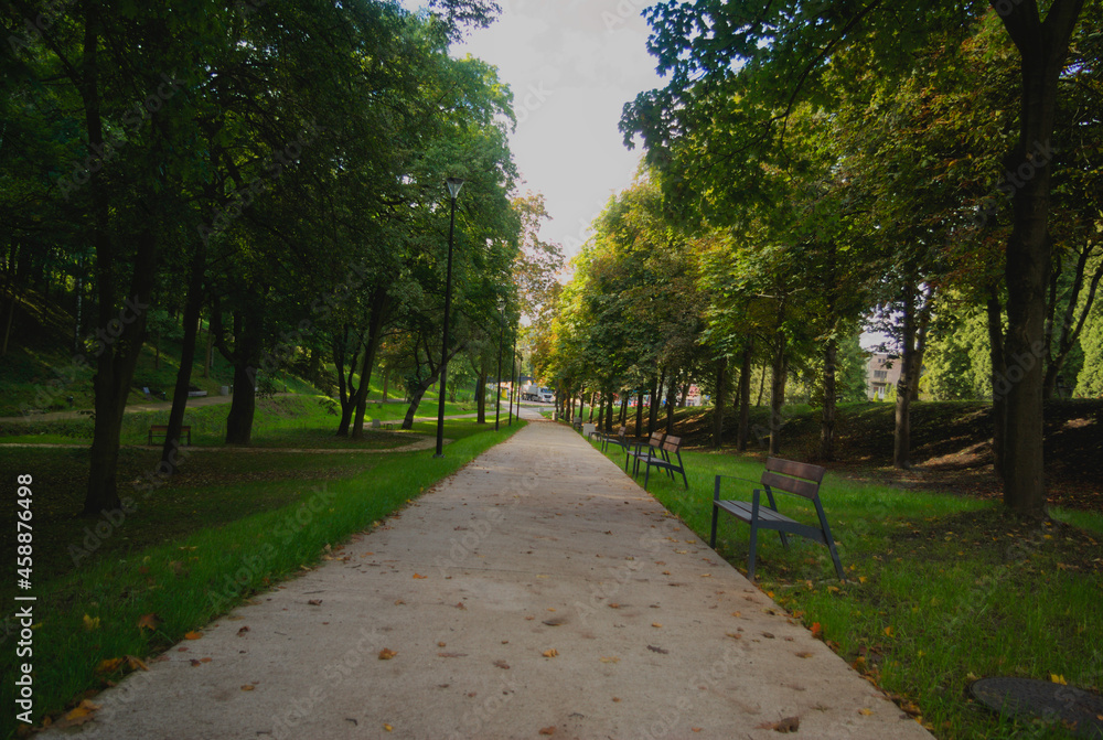 Obraz premium path in the park