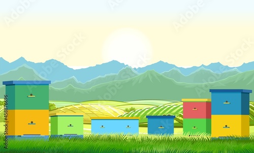 Apiary. Rural farm landscape with bee hive in a summer meadow. A meadow on the outskirts of agricultural vegetable gardens hills and mountains in the distance. Beekeeper illustration with beehive. Vec