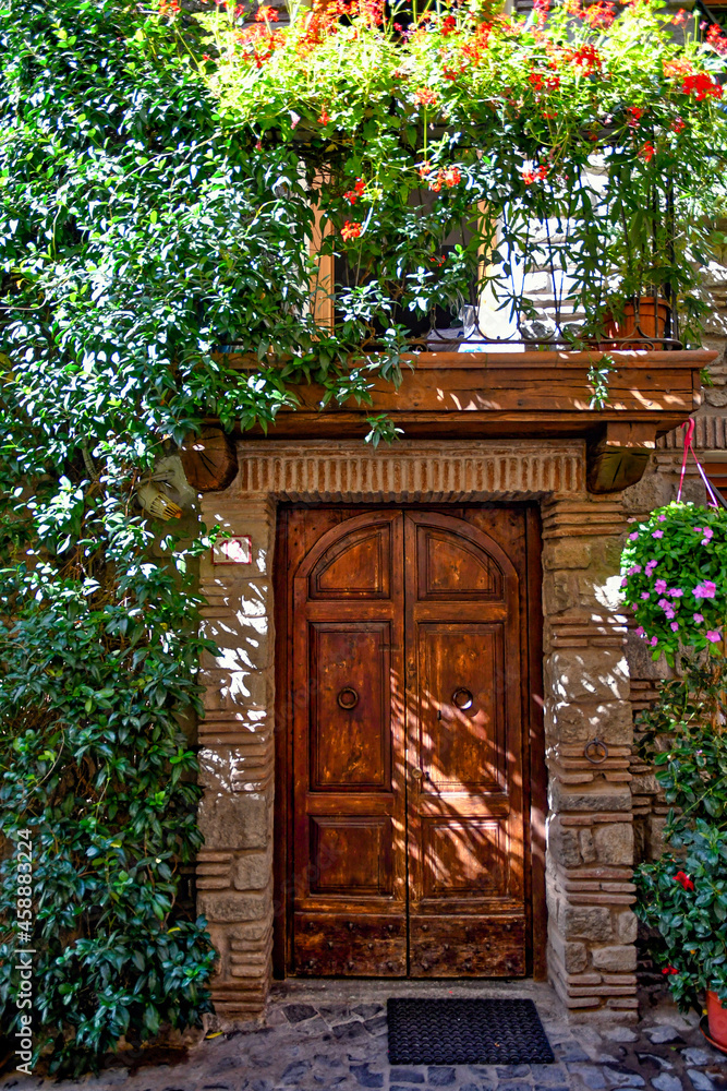 Fototapeta premium The door of an old house in Castel Gandolfo, a medieval village in the province of Rome, Italy.