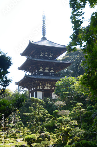 当麻寺 西南院から西塔を望む 奈良県葛城市