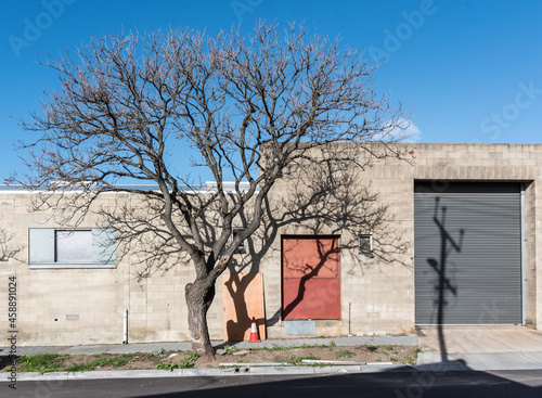 An old abandoned warehouse, a bare branched deciduous tree and shadows