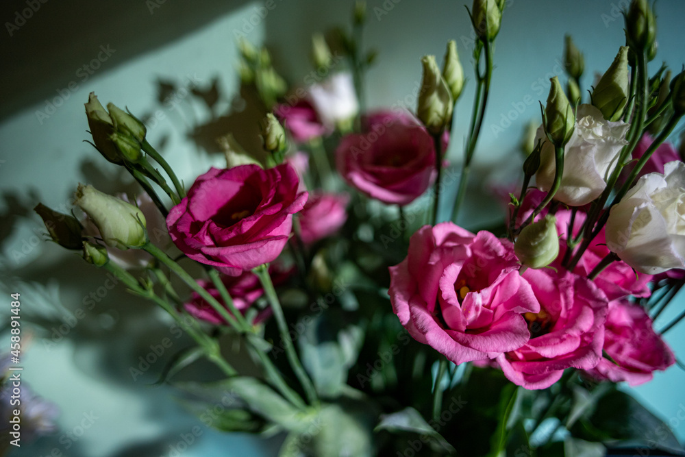 bouquet of dark red and white flowers and flower buds on green background bouquet of dark red and white flowers and flower buds on green background