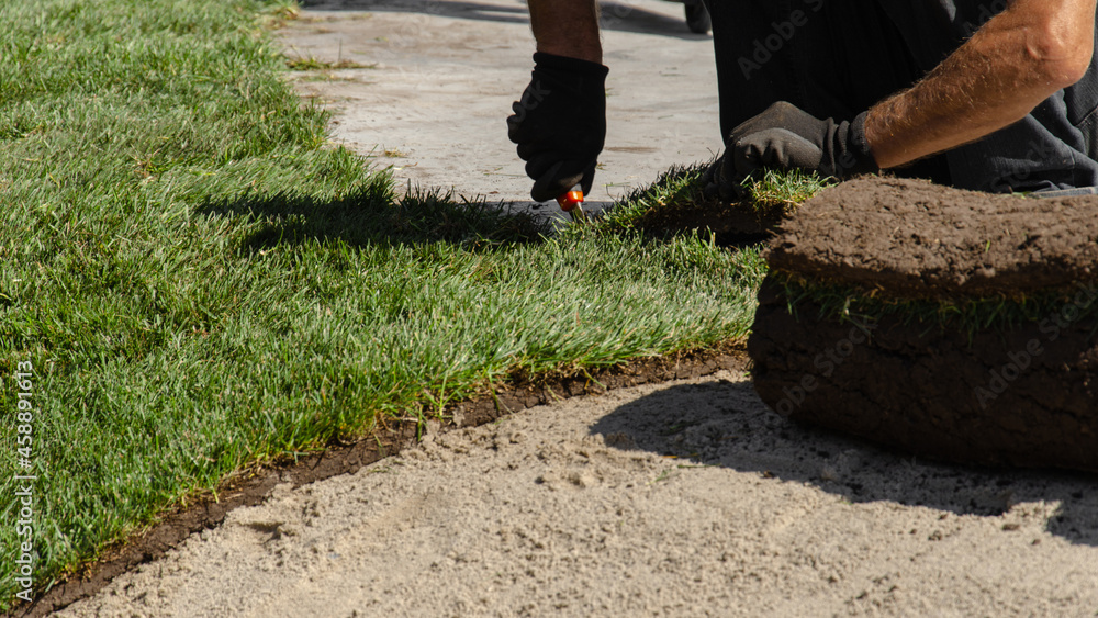 Professional stacking of fresh rolled grass. Gardener's hands in gardening gloves laying turf making new lawn.