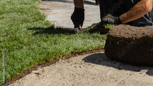 Obraz na płótnie Professional stacking of fresh rolled grass. Gardener's hands in gardening gloves laying turf making new lawn. w salonie