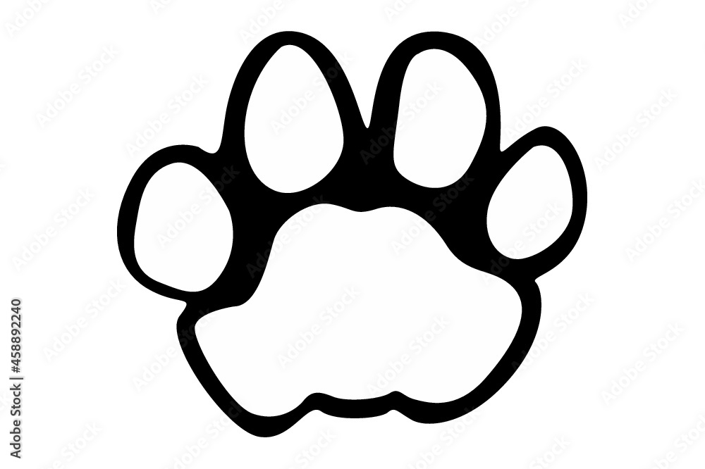 cat paws cat paws