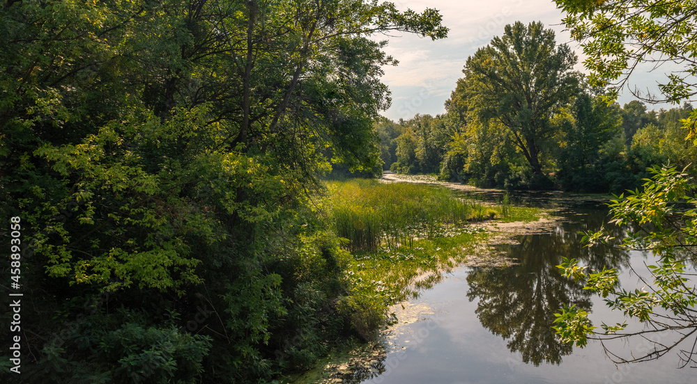 A small river with calm waters and flowering water lilies along the banks flows in a wooded area. Beautiful nature. A small river with calm waters and flowering water lilies along the banks flows in a wooded area. Beautiful nature.