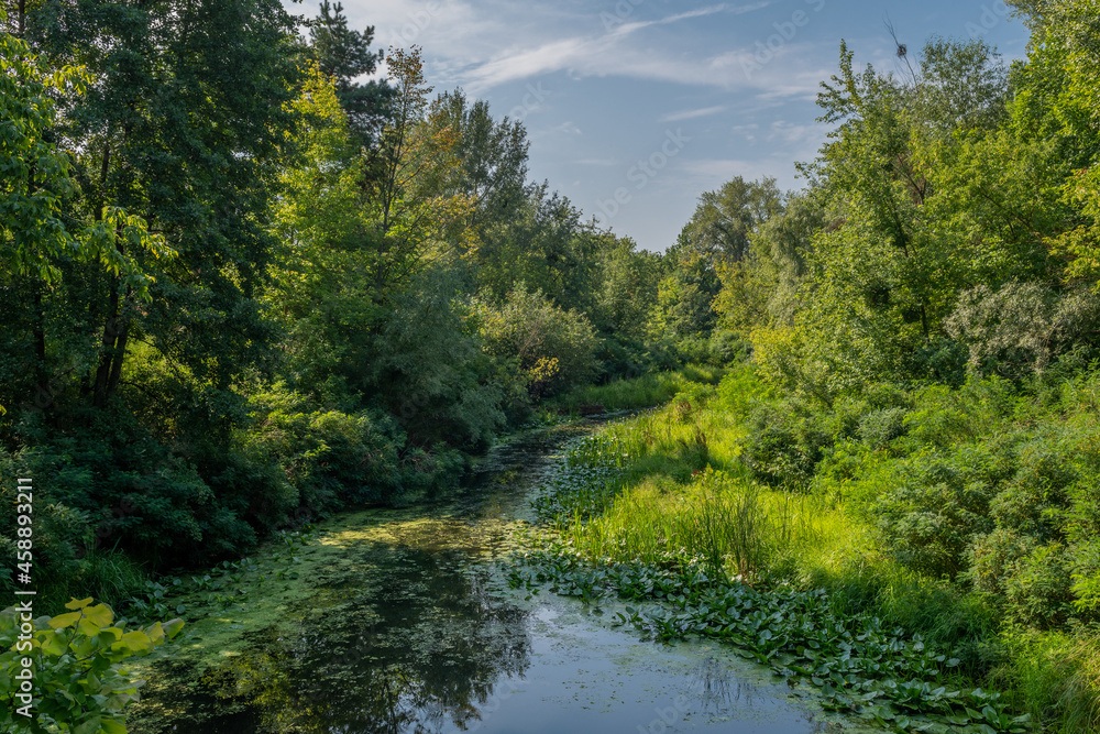 A small river with calm waters and flowering water lilies along the banks flows in a wooded area. Beautiful nature. A small river with calm waters and flowering water lilies along the banks flows in a wooded area. Beautiful nature.