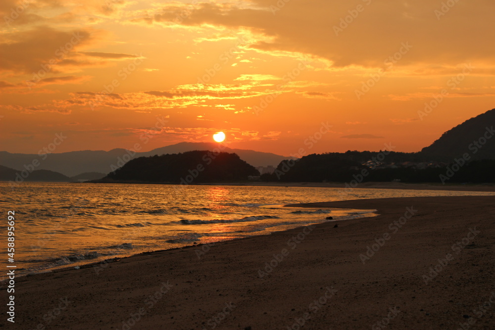 SDGs地球の自然！瀬戸内海の光　『Fall Flowers』