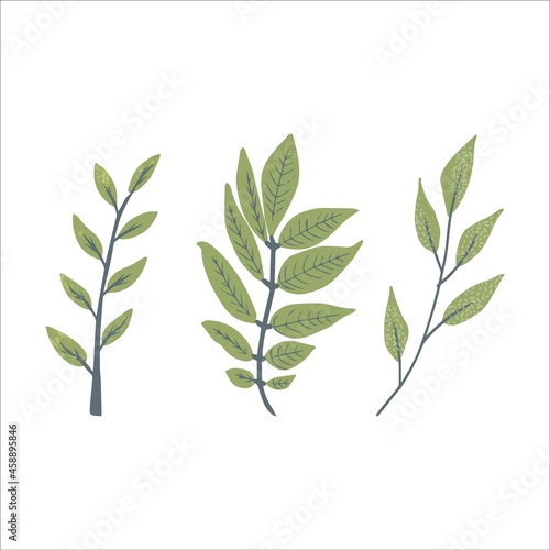 Modern autumn trendy icon of falling ash. Scrapbook collection of fall season elements. Flat natural vector illustration with floral for advertisement, promotion
